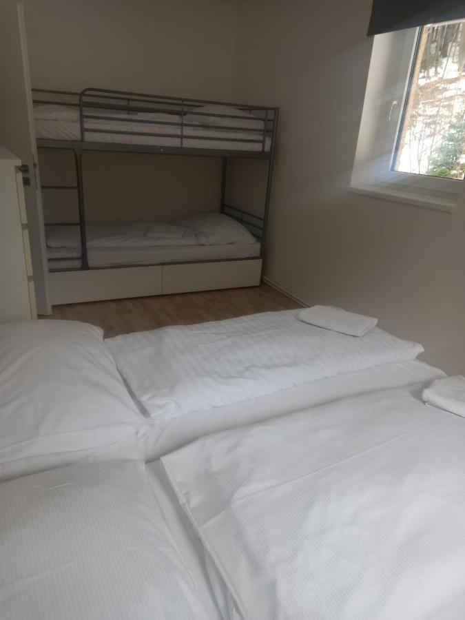 Apartmany Za Sneznikem Dolni Morava Bagian luar foto