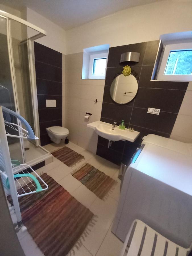 Apartmany Za Sneznikem Dolni Morava Bagian luar foto
